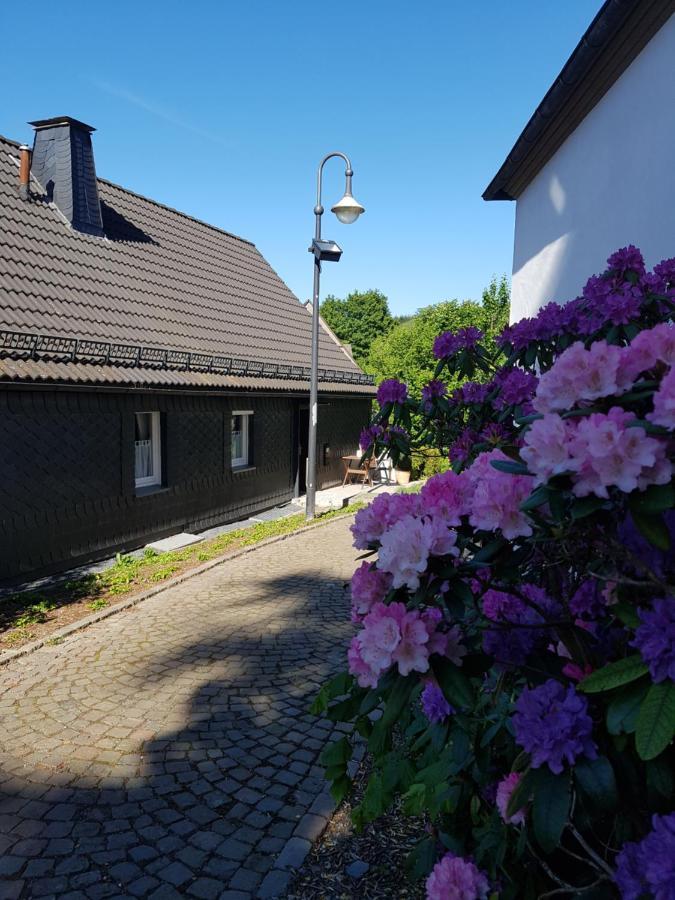 Pilgrims "Elfriede"- Freundliche Unterkunft Remblinghausen Buitenkant foto